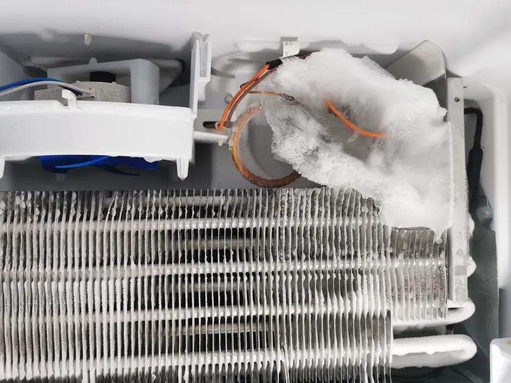 Freezer in Ottawa needs serious repair
