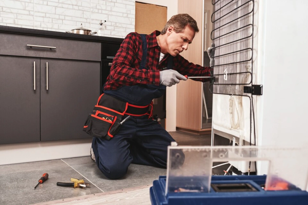 Fridge maintenance in Nepean by a trained expert