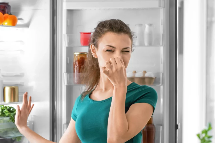 le réfrigérateur sent mauvais